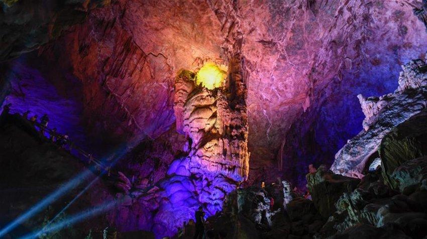 苏州工业园区吴淞社区表彰“星·巢行动”文明志愿家庭