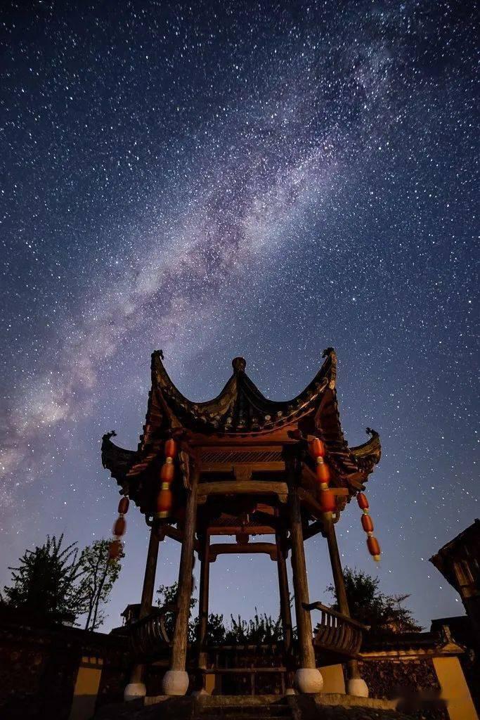 合金装备：幸存