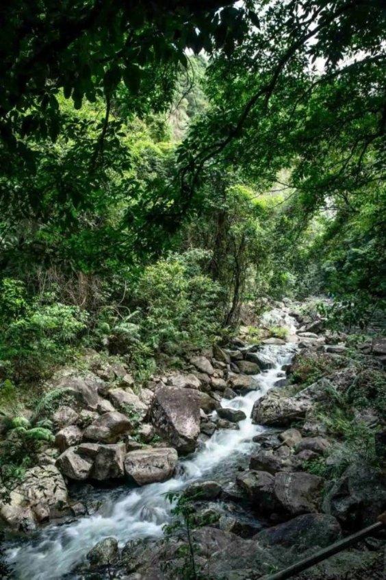 哈马斯代表团再次访问俄罗斯，俄敦促其释放被扣押人员