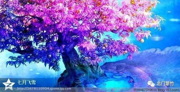白色森林逃脱
